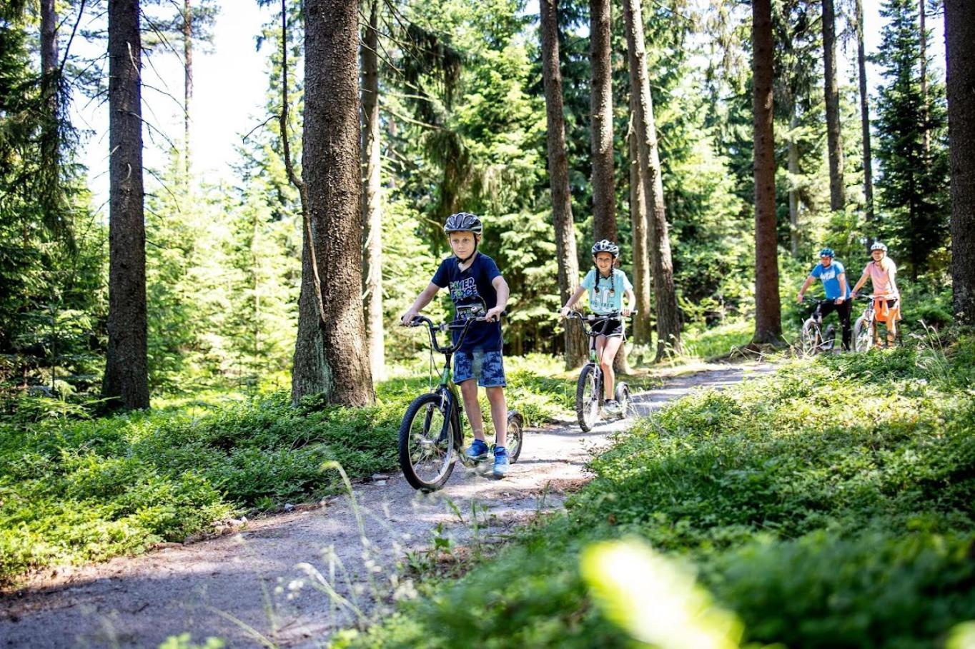 Korzo Lipno C Lägenhet Lipno nad Vltavou Exteriör bild